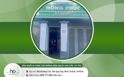 HỒNG PHÚC - ĐƠN VỊ SẢN XUẤT VÀ CUNG CẤP MIẾNG ĐỆM NGỰC CAO CẤP, UY TÍN