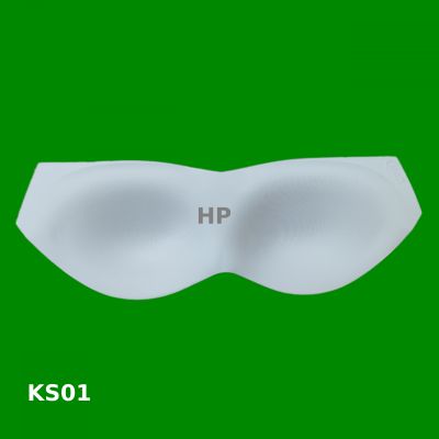 KS01